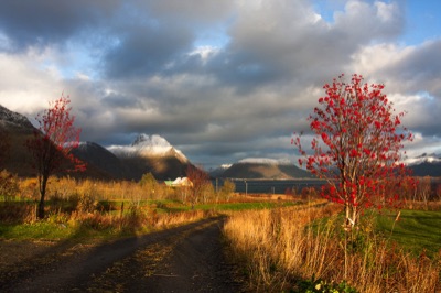 Lofoten, oktober